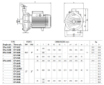 Pedrollo CP 230C 400V