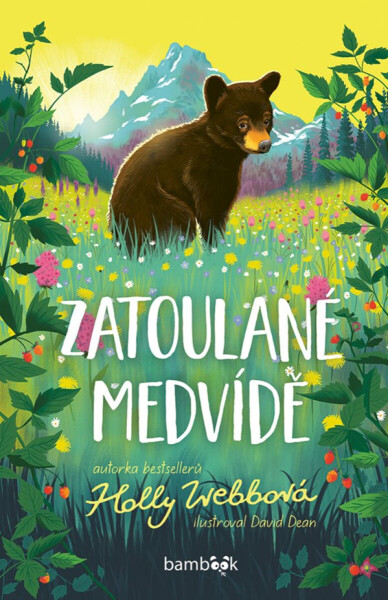 Zatoulané medvídě - Holly Webbová