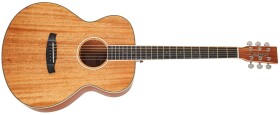 Tanglewood TUN 3