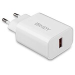 Dehner Elektronik TYPE-C30GC Adaptér USB-C 30 W do zásuvky (230 V), vnitřní Výstupní proud (max.) 3 A USB-C® Počet výstu