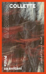 Přišla za svítání - Sandrine Collette