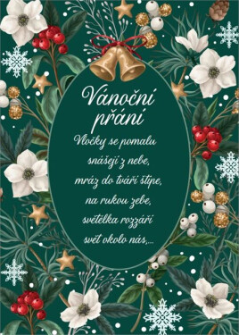 Vánoční tapeta na zeleném - Albi
