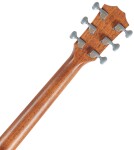 Taylor JCSM-6 Jacob Collier