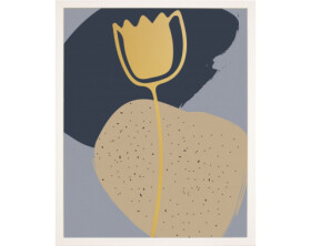 Rámovaný obraz Abstraktní květina II, 24x30 cm