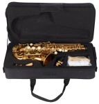 Bacio Instruments BSS-100C