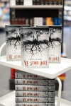 Ve stínu hory - Felix Blackwell