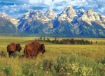 EUROGRAPHICS Puzzle Národní park Grand Teton