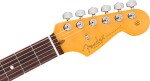 Fender American Professional Stratocaster RW DK NIT