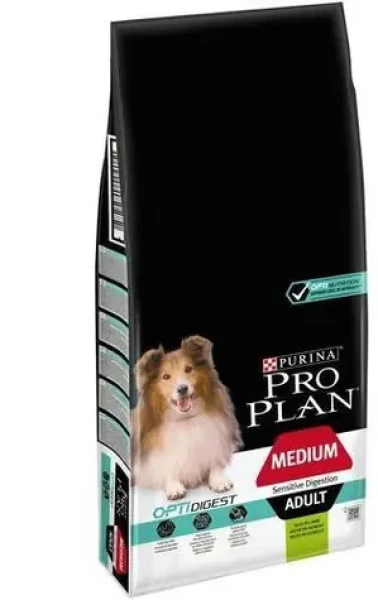 Adult Medium jehněčí