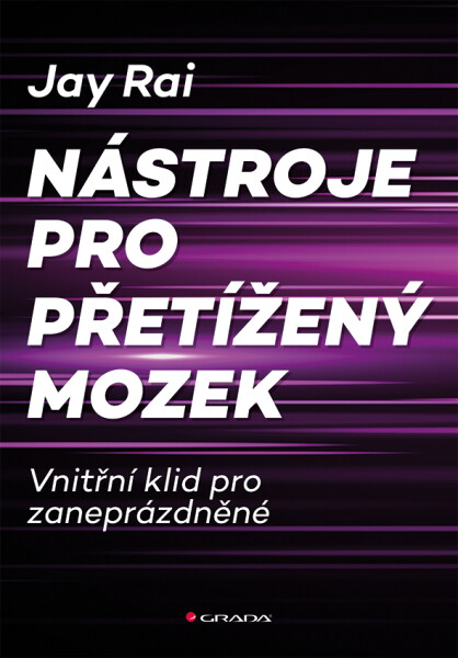 Nástroje pro přetížený mozek - Vnitřní klid pro zaneprázdněné - Jay Rai