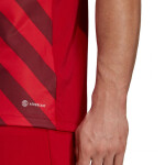 Adidas Entrada 22 Graphic Jersey HB0572