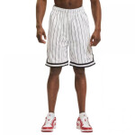 Karl Kani Small Signature Pinstripe Mesh Shorts M 6014921 L