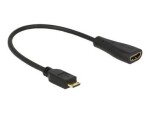 Delock Cable High Speed HDMI with Ethernet - mini C male A female (65650)