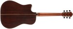 Furch Rainbow Dc-LG CNR Active