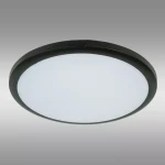 Stropní svítidlo Merkury VO2535 38W CCT 37 cm black PL1