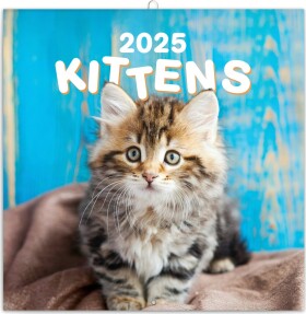 Kalendář 2025 poznámkový: Koťata, 30 30 cm