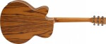 Tanglewood TRU7CE AZ