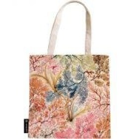 Japanese Kimono / Kara-ori / Canvas Bag