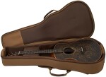 Taylor GS Mini-e LE Paisley Burst