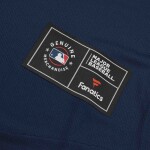 Fanatics Pánský dres Detroit Tigers MLB Foundation Fantrikot Velikost: XL