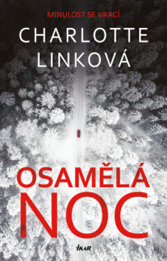 Osamělá noc - Charlotte Linková - e-kniha