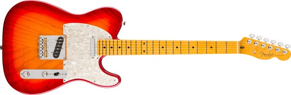 Fender American Professional Telecaster MN ACB