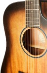 Cort Core-DC Mahogany OPBB