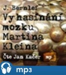 Vyhasínání mozku Martina Kleina, Bernlef