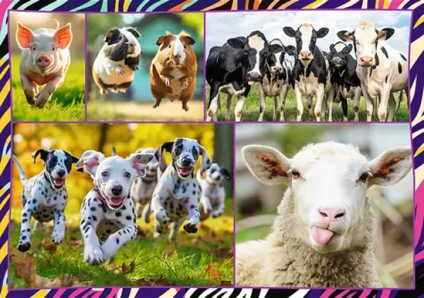 TREFL Puzzle Zábavná zvířata
