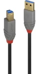 Lindy Anthra Line USB-A - USB-B 1m černá / Kabel USB / USB 3.2 Gen 1 / 5 Gbit/s (36741)
