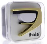 Thalia Shell Collection Blue Abalone Gold