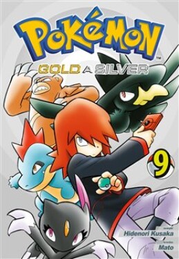 Pokémon Gold Silver Hidenori Kusaka