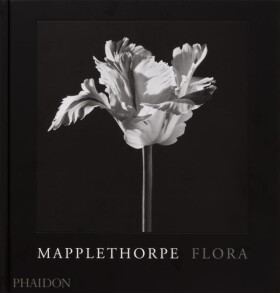 Mapplethorpe Flora - Mark Holborn