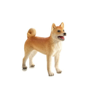 Animal Planet Pes Shiba Inu