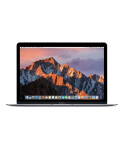 Apple MacBook 12" 1,1GHz / 8GB / 256GB (2015) Stříbrný