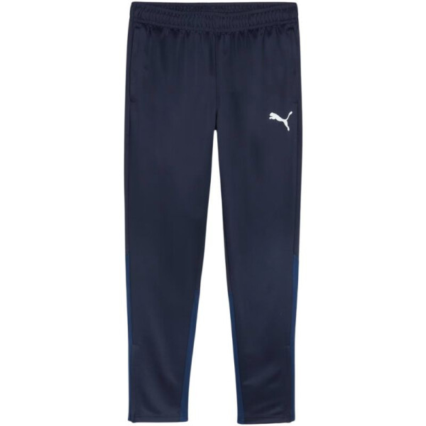 Puma Team Goal Training M kalhoty 658639 06 L