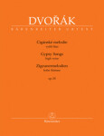 Cigánské melodie op. 55