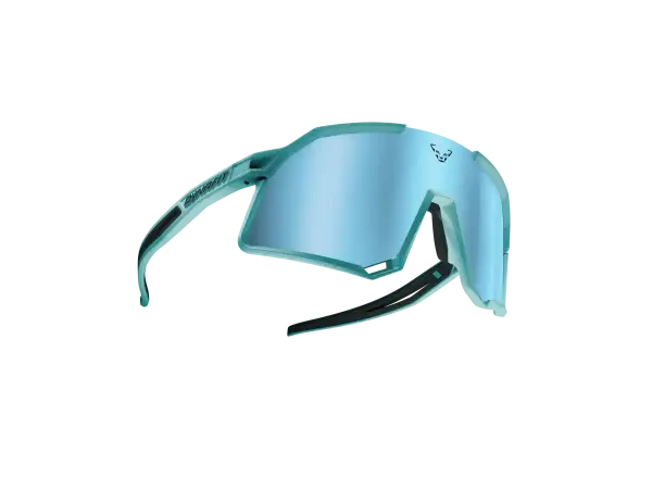 Dynafit Trail Evo - Dynafit Trail Evo brýle Marine Blue/Blueberry