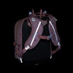 Bagmaster ALFA 26 A velký školní set pro prvňáčky – veverka