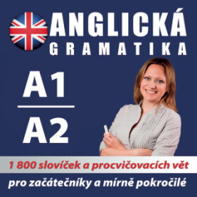 Anglická gramatika 1 - koletiv autorů - audiokniha