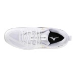 Mizuno Wave Momentum Pro V1GA254021