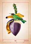 Nástěnný kalendář 2026 Helma - Aviarium, 31,5 x 45 cm
