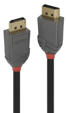 Lindy DisplayPort 1.4 kabel černá / Přípojný kabel / DisplayPort - DisplayPort / 1 m / 8K / 60 Hz (36481)