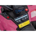 Mamido Dětská elektrická čtyřkolka Can-Am Outlander ATV 4x45W růžová