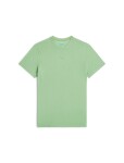 ICEBREAKER Mens Mer 125 Cool-Lite Speed SS Tee, Seaglass velikost: L