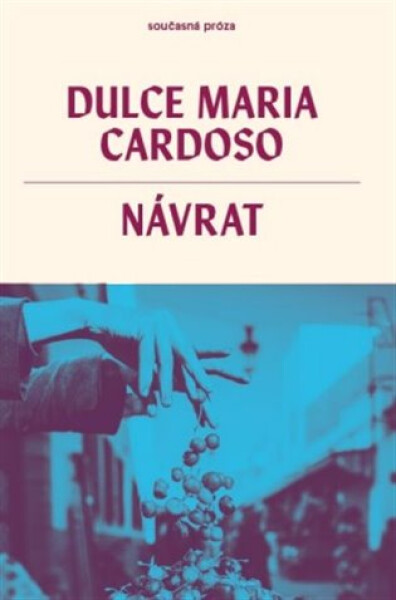 Návrat - Dulce Maria Cardoso