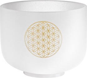 Meinl Sonic Energy CSB8FOL