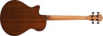 Ibanez AEGB25E Transparent Black