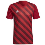 Pánský dres Entrada 22 Graphic Jersey HB0572 Adidas