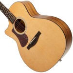Eastman AC222LCE